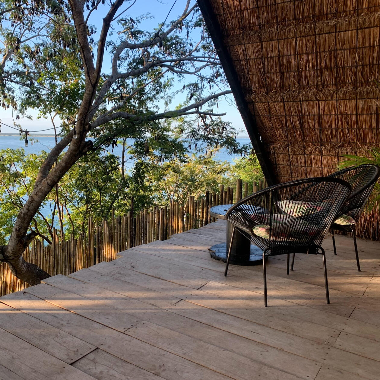 Azul Nomeolivdes // Bacalar Lagoon, Mexico