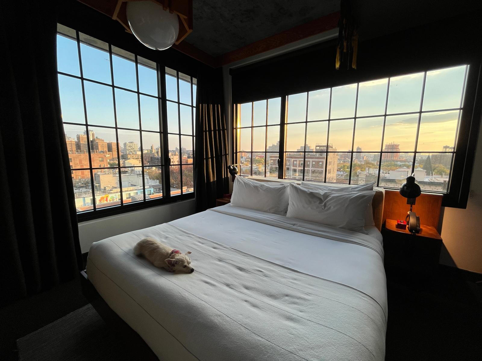The Ace Hotel // Brooklyn, New York